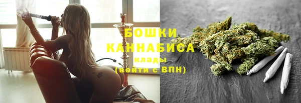 дживик Гусиноозёрск