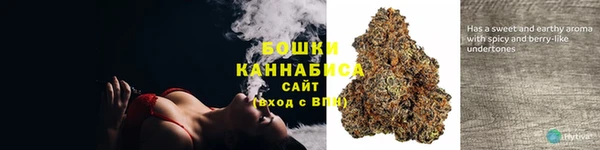 дживик Гусиноозёрск