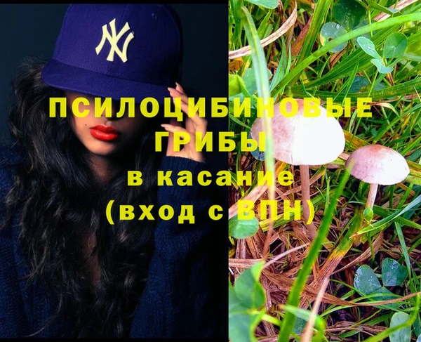 трава Гусь-Хрустальный
