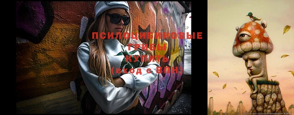 дживик Гусиноозёрск