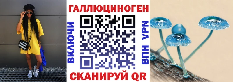 Псилоцибиновые грибы Psilocybine cubensis  Купить где  Сосногорск 
