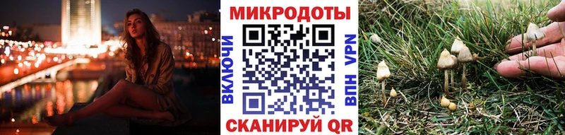 Галлюциногенные грибы Psilocybine cubensis Сосногорск